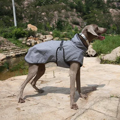 Pet Shell Jacket Dog Winter Outdoors Ski Suit Gray - Shop at LoveMi