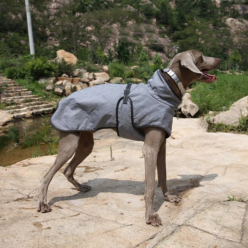 Pet Shell Jacket Dog Winter Outdoors Ski Suit Gray - Shop at LoveMi