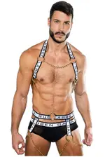 Pectoral Girdle