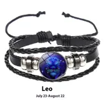 Leo Luminous Style