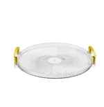 Golden Handle Tray