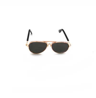 Pet Mini Hip Hop Sunglasses Style 2 - Shop at LoveMi