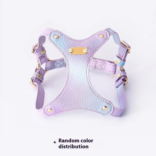 Colorful Leather Cat Strap Pulling Rope Colorful Purple - Shop at LoveMi