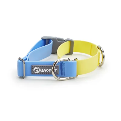 Plastic Waterproof Traction Collar Pet Supplies Tow Rope Collar Collar Blue Dream Yellow - Shop at LoveMi