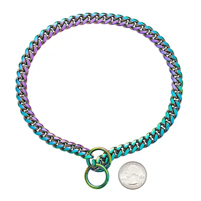 Small And Medium Sized Pet Dog Leash Stainless Steel Encrypted Collar Color - Shop at LoveMi