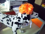 Fashion Pet Clothing Accessories Dog Head Ornament - Orange - View 1