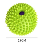 Body Acanthosphere Green 17Cm