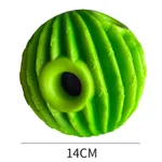 Cactus 14Cm
