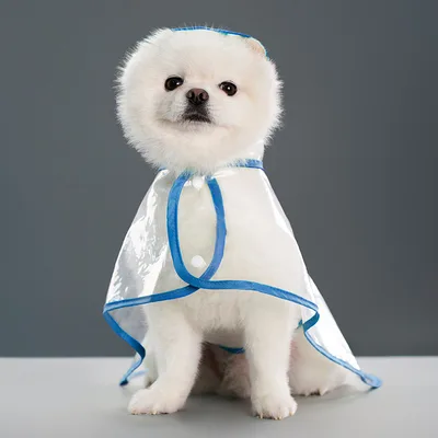 Pet Supplies Dog Transparent Plastic Raincoat Blue - Shop at LoveMi
