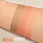 Or01