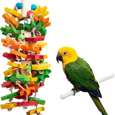 Wooden Color Nibbling Toy Medium And Large Parrot Bird Image Color - Shop at LoveMi