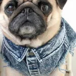 Denim Blue