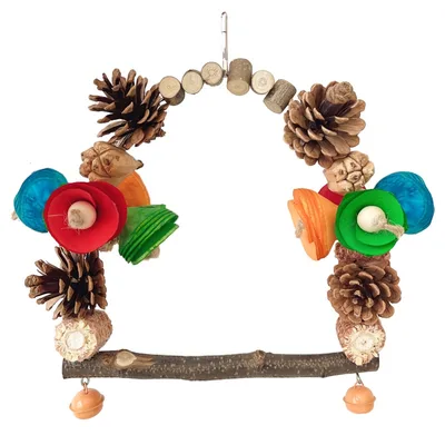 Parrot Swing Pine Nut Grinding Mouth Grinding Claw Log Bird Stand Rod Color Decoration Bulk - Shop at LoveMi
