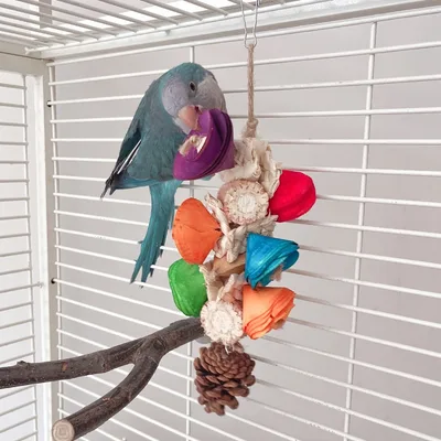 Natural Material Parrot Toy Birdcage Pendant Bags - Shop at LoveMi