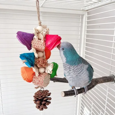 Natural Material Parrot Toy Birdcage Pendant Bulk - Shop at LoveMi