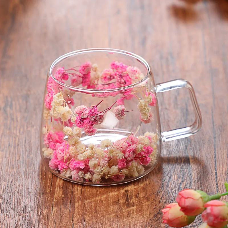 Double Layer Glass Cup Borosilicate Simple Coffee Cup - Pink White Coffee Cup