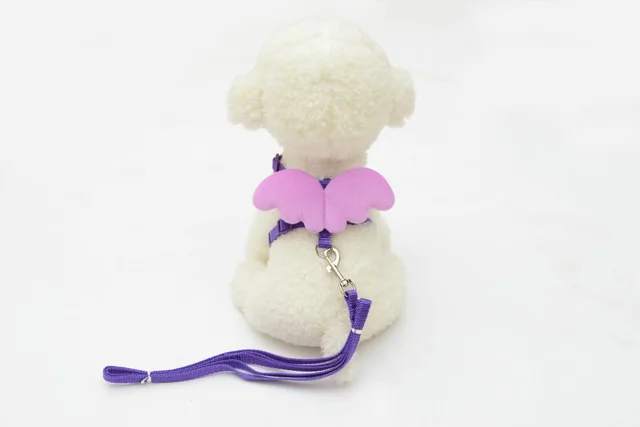Adjustable Walking Harness With Wings And Traction Rope For Chickens, Ducks, Geese, Hens And Small Pets Purple - Shop at LoveMi