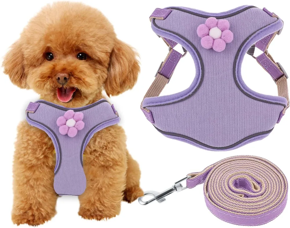 Breathable Mesh Puppy Vest Harness With Quick Release Buckle For Small Medium Large Dogs Purple - Shop at LoveMi