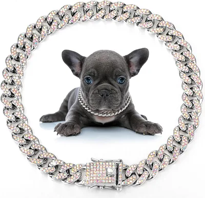 Dog Necklace Metal Cat Chain Pet Crystal Collar Jewelry Accessories For Small Medium Large Dogs Cats Silver - Shop at LoveMi