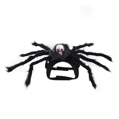 Halloween Creative Halloween Pet Cat Small Dogs Bat Wings Halloween Cat Wings Accessories Halloween Decorations Pet Supplies Grey Skull - Shop at LoveMi