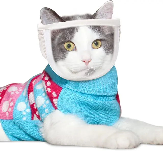 Anti Bite Puppy Kitten Muzzles Mask Pet Product Cat Muzzle Breathable Dogs Cats Bathing Grooming Tools - Shop at LoveMi