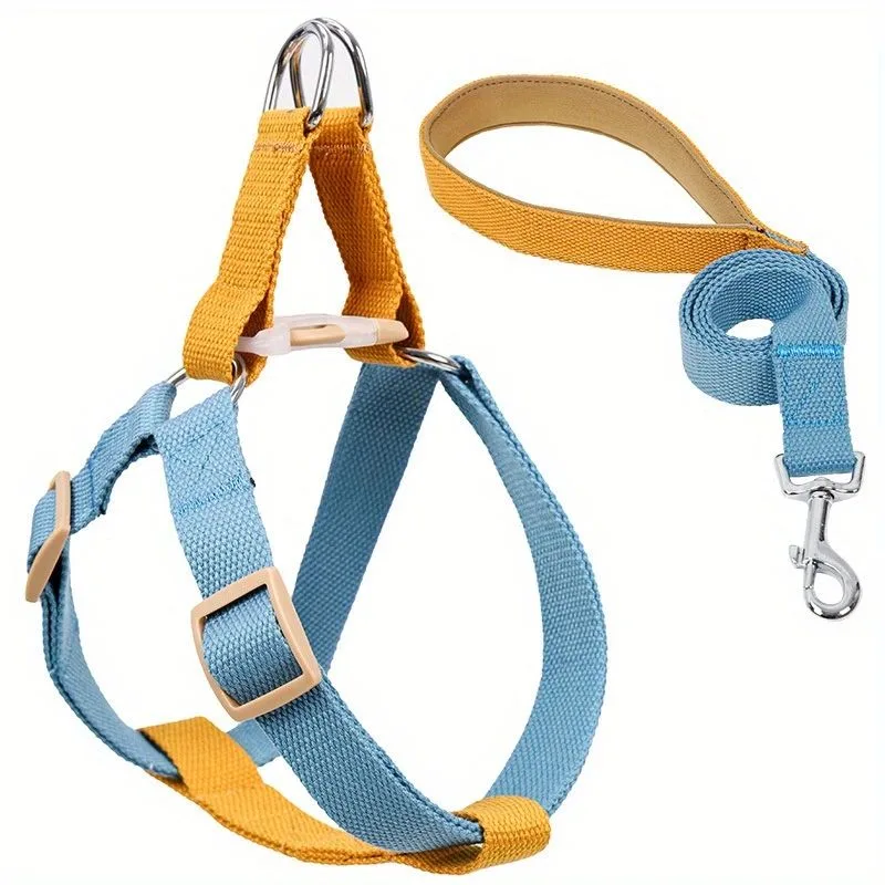 Dog Harness And Leash No Pull Nylon Pet Leashes For Small Dogs French Bulldog Chihuahua Lead Leash And Collar Set For Yorkies M Blue - Shop at LoveMi