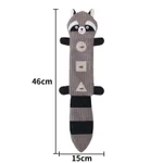 Raccoon