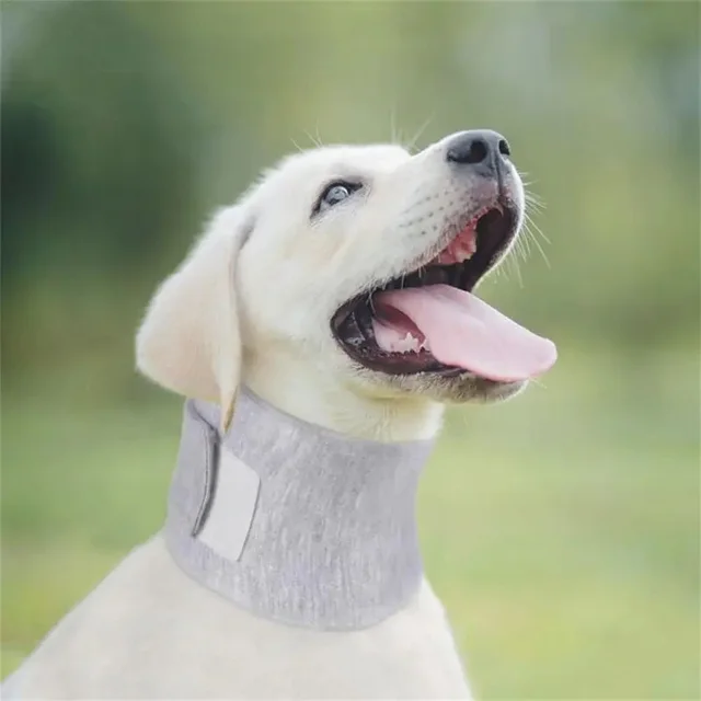 Neck Ring Anti lick Wound Healing Protection Adjustable Cat Pet Collar Surgery Dog Cat Recovery Collar Default - Shop at LoveMi
