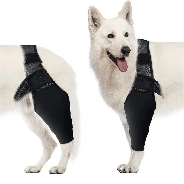 Dog Leg Support Protector, Front And Rear Leg Adjustment, Fixed Strap, Knee Brace For Injuries, Leg Protector For Dogs Default - Shop at LoveMi