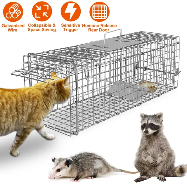 Cat Trap Cage Catch Release Live Animal Rodent Cage Foldable Galvanized Wire Trap Cage - Shop at LoveMi
