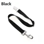 Black Leash2.5X70Cm