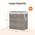 Gray110L
