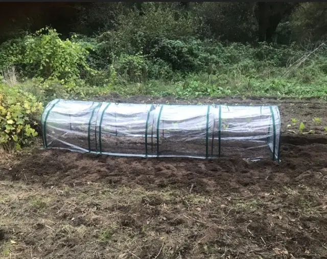 Portable Tunneled Greenhouse With 4 Zippered Doors, Water UV Fighting PVC Cover Dark Green Clear - Shop at LoveMi