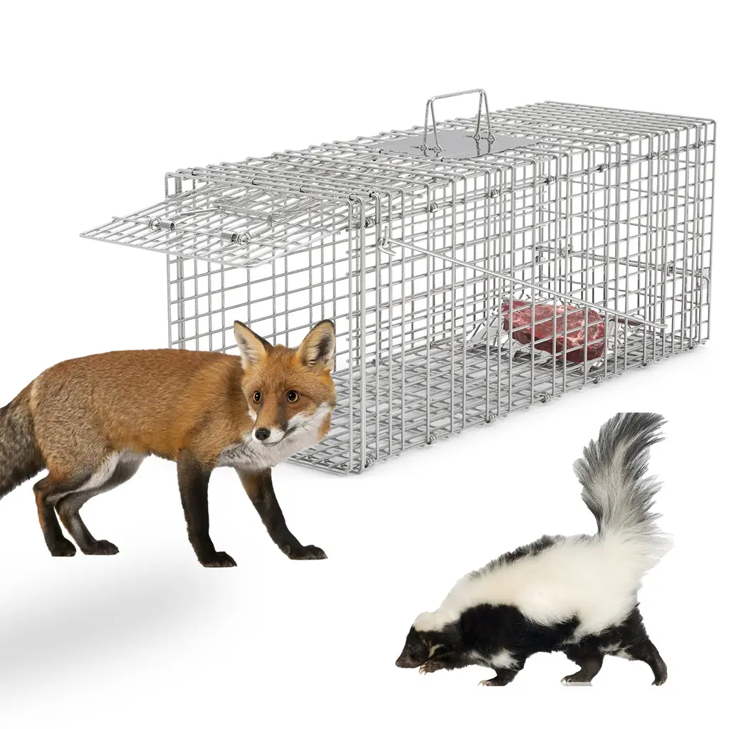 Humane Cat Trap Cage Catch Release Live Animal Rodent Cage Collapsible Galvanized Wire For Raccoons Beavers Groundhogs Foxes Armadillos Fedex Shipp...