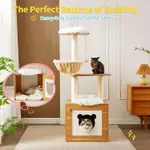 Litter Box Enclosure
