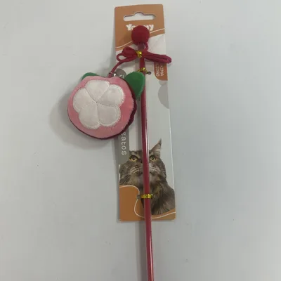 Fruit shaped Cat Teaser Pink - Shop at LoveMi