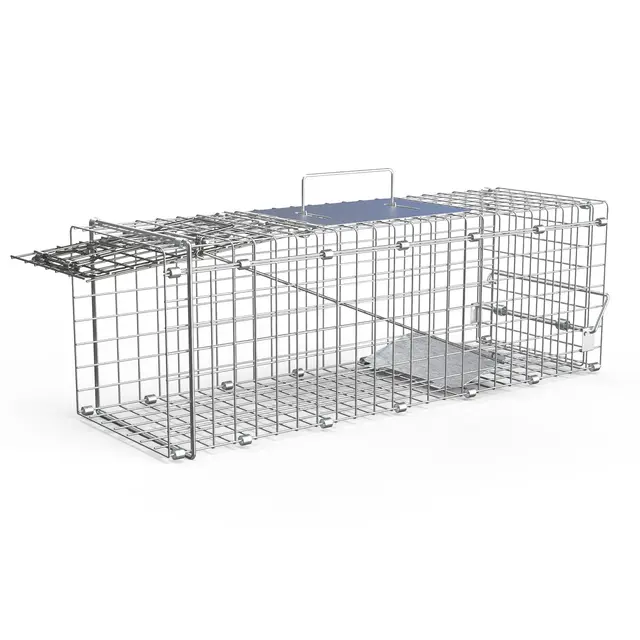Humane Cat Trap Cage Catch Release Live Animal Rodent Cage Collapsible Galvanized Wire For Small Raccoons Beavers Groundhogs Foxes Armadillos Silver - Shop at LoveMi