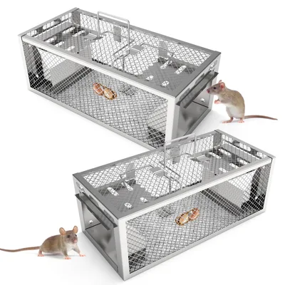 2Pack 11.81x5.63x4.45In 2 Door Humane Rat Trap Automatic Continuous Mouse Trap Reusable Galvanized Iron Live Animal Cage Silver - Shop at LoveMi
