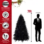 7Ft