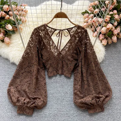 Solid Color Elegant V Net Lantern Sleeve Lace Top Sheer Back Tie Detail Women's Fashion Blouse Brown - Shop at LoveMi