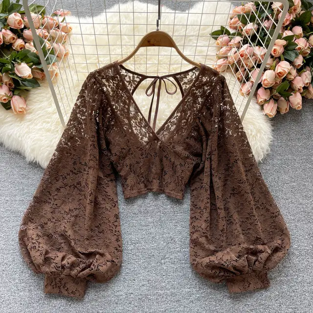 Solid Color Elegant V Net Lantern Sleeve Lace Top Sheer Back Tie Detail Women's Fashion Blouse Brown - Shop at LoveMi