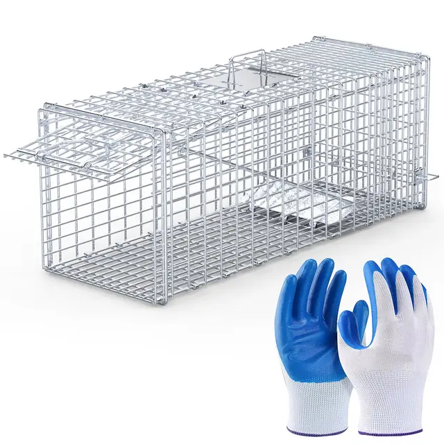Live Animal Trap Cage 37x14x15in Folding Catch And Release Humane Cat Trap Galvanized Iron For Raccoons Foxes Coyotes Stray Dogs Armadillos Squirre... Silver - Shop at LoveMi