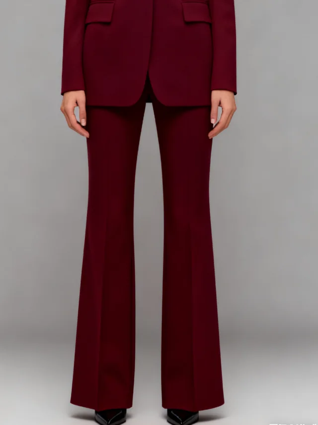 Power Of Earth Burgundy Sculpted 2 Piece Suit Pants - Shop at LoveMi
