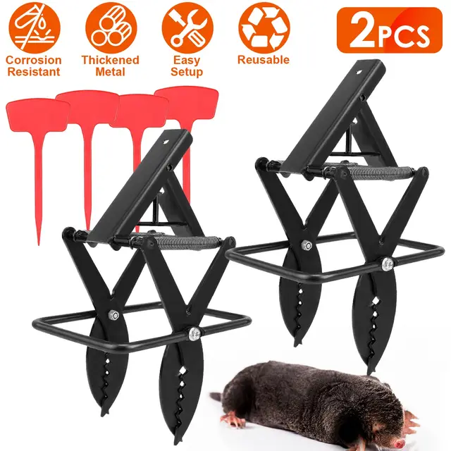 Easy Setup Mole Scissor Traps Outdoor Reusable Mole Rodent Control Trap Solid Metal Material For Lawn Garden Yard Pro Type Black Pro - Shop at LoveMi