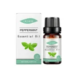10Ml/