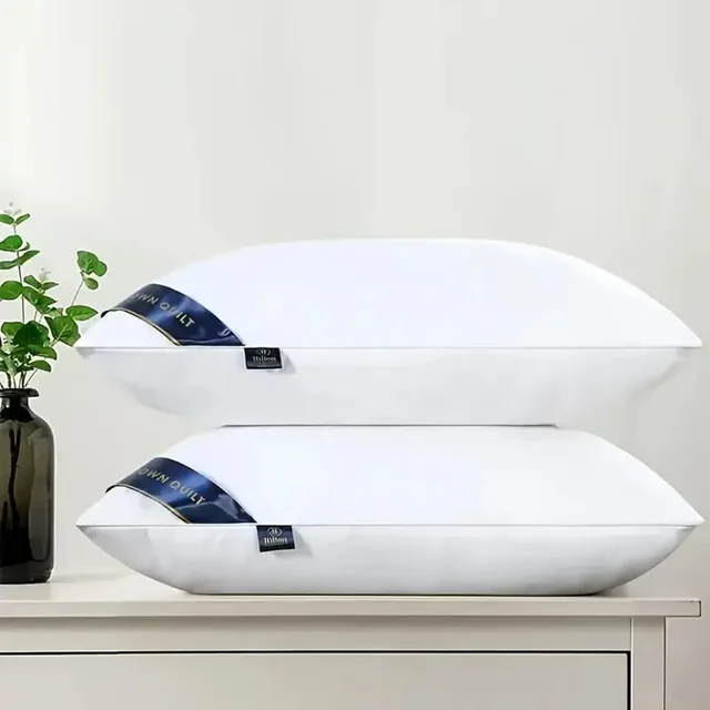 Bed Pillows Blue W13720231 - Shop at LoveMi