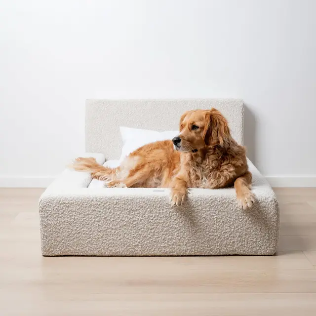 Dog Mat, Movable Rectangular Sponge Cat Bed Backrest, Pet Sofa, Suitable For Small, Medium And Large Cats And Dogs, Mat Bed, Dog Pet Accessories, B... White - Shop at LoveMi