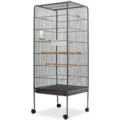 Birdcage 54x Black - Shop at LoveMi