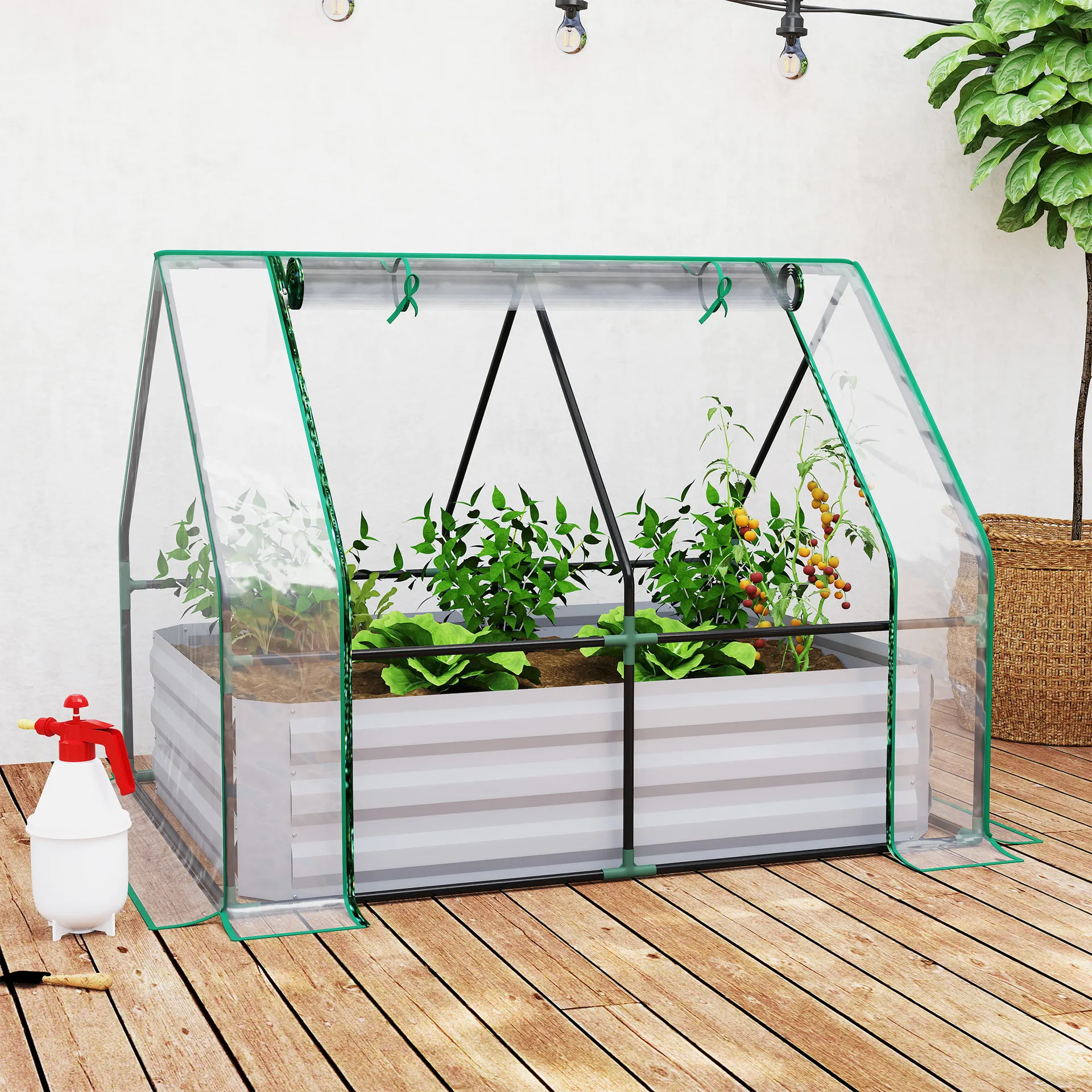 Raised Garden Bed with Cover - Clear