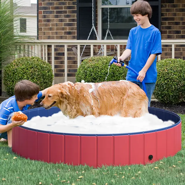 Foldable Pet Swimming Pool Red, Blue - Shop at LoveMi
